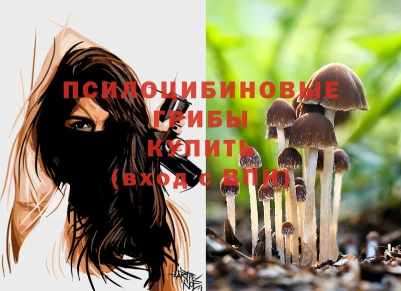 цена   Отрадная  Псилоцибиновые грибы MAGIC MUSHROOMS 